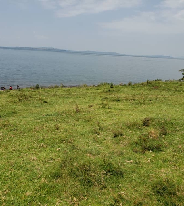 WhatsApp Image 2022-07-15 at 8.55.14 PM.jpeg